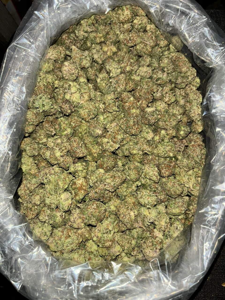 Buy Gorilla Glue strain online